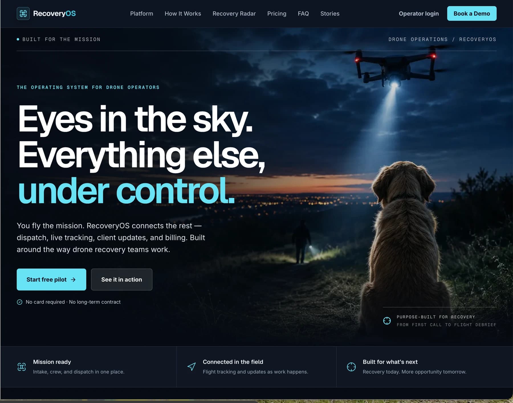 RecoveryOS actual website capture